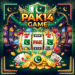 Pak14 Game
